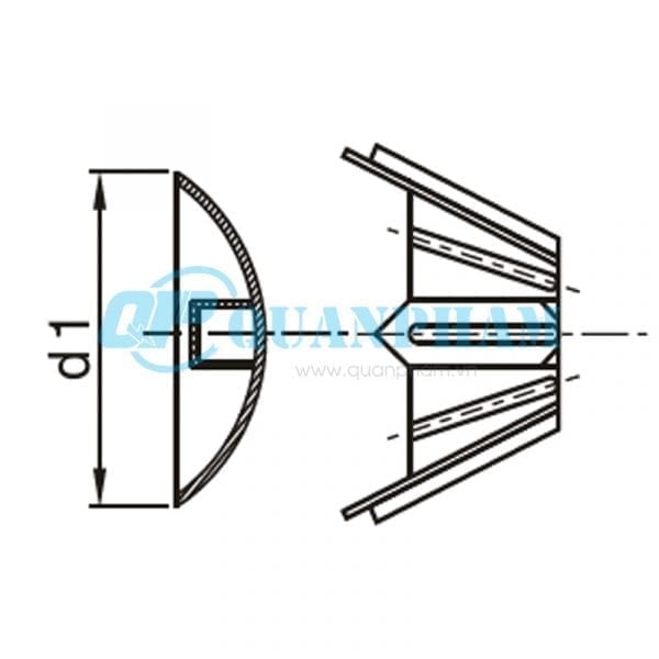 Hình 1: Búp sen và đĩa (Ảnh: quanpham)
