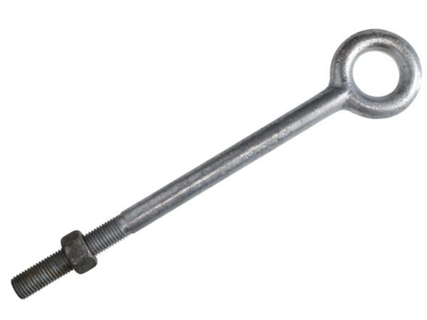 CTNEB16.1.1 Forged Eye Bolts